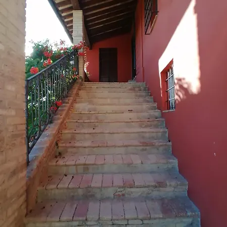Casale Antonella