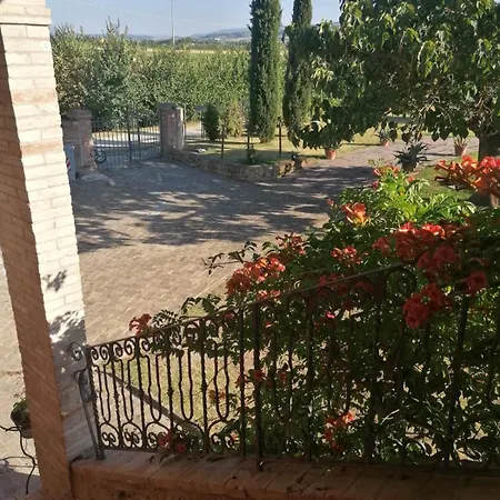 Casale San Francesco D'assisi Asís